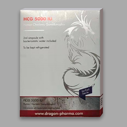 HCG5000iuDragon 1