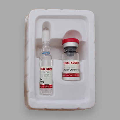 HCG5000iuDragon